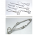 Dissecting Instruments And Accessories