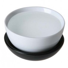Propylene Glycol