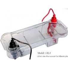 Electrophoresis Horizontal