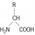 Amino Acids