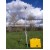 Portable Weather Station
