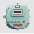 Flameproof Indicator