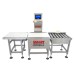 Online Check Weigher