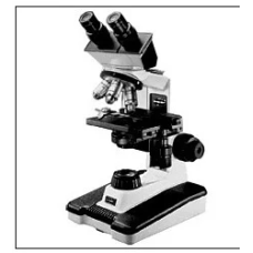Fine Focus Binocular Microscope