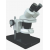 0151 Inclined Binocular Stereo Microscope