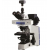 Fluorescent Research Microscope High End With Camera