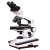 Pathological Binocular Microscope
