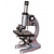 Student Microscope with Movable Condenser
