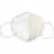 N 95 Face Mask