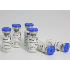 Kinetic Chromogenic Amebocyte Lysate Vial