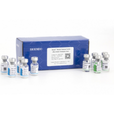 Micro Kinetic Chromogenic Endotoxin Assay Kit