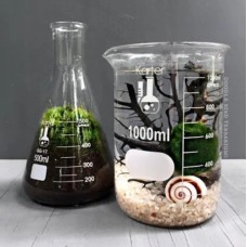 Laboratory Flasks