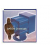 Diaphragm Pump