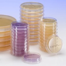 Plates