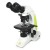 Research Binocular Microscope