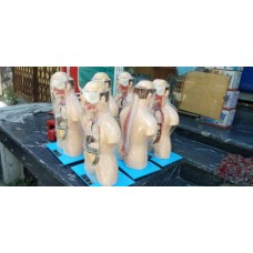 School Science Lab Equipment