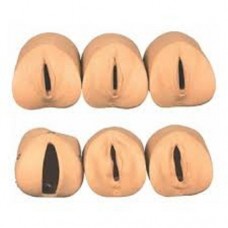 GD/F20G Labour Delivery Simulator