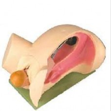 GD/F6 Leopold Maneuvers Simulator