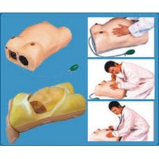 GD/FW2 Maternity Examination Model