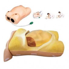 Maternity Examination Model