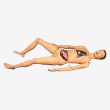 Unisex Nursing Training Manikin