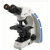 Binocular Microscope