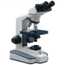 Compound Microscope