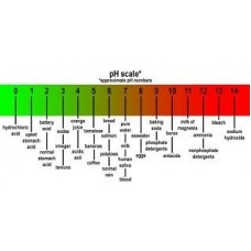 pH Scale
