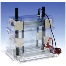 Craft's Gel Electrophoresis