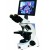 Craft's Microscope With LCD Screen