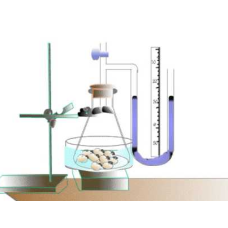 Animal Respirometer