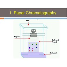 Chromatography Paper