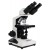 Compound Microscope