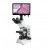 Digital Microscope with LCD Screen