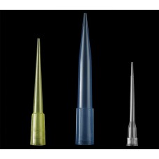 Micropipettes Tip