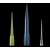 Micropipettes Tip