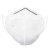 KN-95 Mask