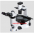 Olympus Opto Inverted Tissue Culture Microscope