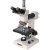 Trinocular Microscope