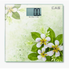 Weighing Balance