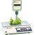 Electronic Weighing Machine