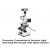 Transmitted & Incident Light Polarizing Microscope