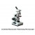 Inclined Monocular Microscope