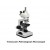 Petrological Microscope