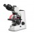 COAXIAL BINOCULAR MICROSCOPE (STD) FOR SCIENCE LAB