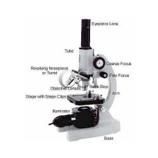 Compound Microscope Olympus