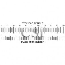 Stage Micrometer