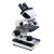 Binocular Microscopes