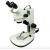 Zoom Stereo Binocular Microscopes