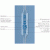 Bulb Pipettes